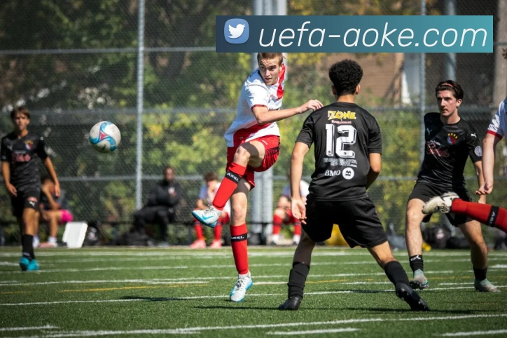 澳客平台生态图